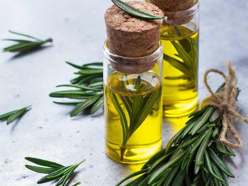 Rosemary-Essential-Oil.jpg