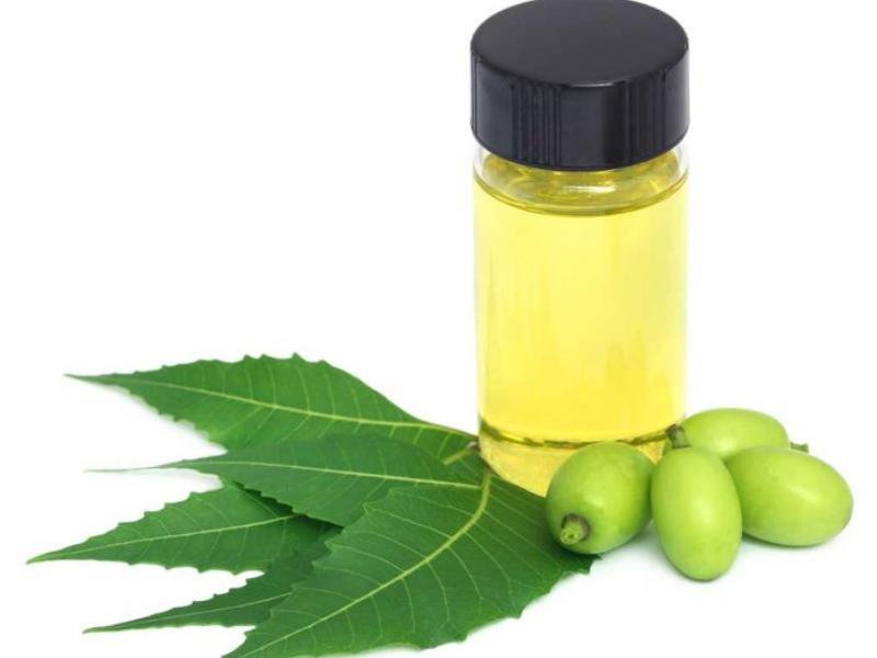 neemoil.jpg