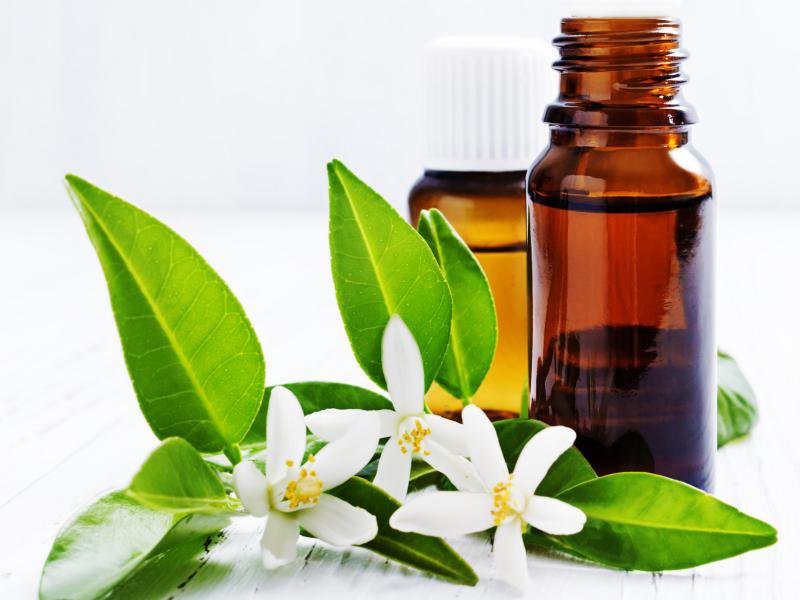 neroli oil.jpg